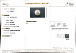 Load image into Gallery viewer, 7.40/CT South Sea Pearl with Govt. Lab Certificate-1550
