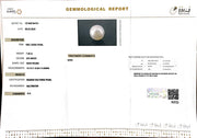 7.40/CT South Sea Pearl with Govt. Lab Certificate-1550