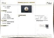 8.29/CT South Sea Pearl with Govt. Lab Certificate-1550