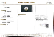 9.07/CT South Sea Pearl with Govt. Lab Certificate-1550