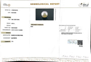 8.95/CT South Sea Pearl with Govt. Lab Certificate-1550