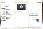 Load image into Gallery viewer, 11.21/CT South Sea Pearl with Govt. Lab Certificate-1550

