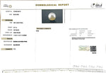 Load image into Gallery viewer, 9.77/CT South Sea Pearl with Govt. Lab Certificate-1550
