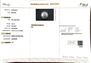 12.91/CT South Sea Pearl with Govt. Lab Certificate-1550