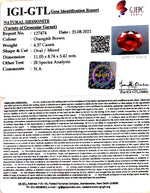 Load image into Gallery viewer, 4.37/CT Natural Govt. Lab Certified Ceylonese Gomed-(1221)
