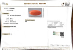 Load image into Gallery viewer, 8.82/Carat Natural Japanese Red Coral-7100
