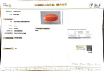 Load image into Gallery viewer, 8.24/Carat Natural Japanese Red Coral-7100

