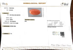Load image into Gallery viewer, 9.10/Carat Natural Japanese Red Coral-7100
