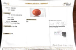 Load image into Gallery viewer, 17.92/Carat Natural Japanese Red Coral-7100

