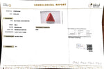 Load image into Gallery viewer, 7.98/CT Natural Triangular Red Coral-2500
