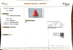 Load image into Gallery viewer, 9.18/CT Natural Triangular Red Coral-2500
