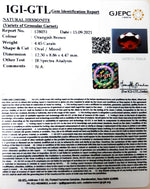 Load image into Gallery viewer, 4.93/CT Natural Govt. Lab Certified Ceylonese Gomed-(1221)

