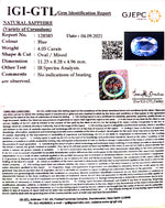 Load image into Gallery viewer, 4.05/CT Nature Neelam with Govt Lab Certificate-BLUSA9W
