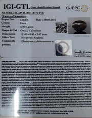 4.30/CT Natural Scapolite Cat's Eye with Govt. Lab Certified-(1221)