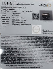 3.37/CT Natural Scapolite Cat's Eye with Govt. Lab Certified-(1221)