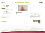 Load image into Gallery viewer, 5.85/CT Natural Red Coral With Govt. Lab Certificate
