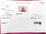 Load image into Gallery viewer, 6.42/CT Natural Red Coral With Govt. Lab Certificate

