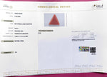 Load image into Gallery viewer, 4.90/CT Natural Red Coral With Govt. Lab Certificate
