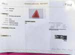 Load image into Gallery viewer, 5.65/CT Natural Red Coral With Govt. Lab Certificate
