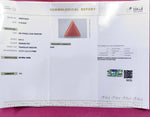 Load image into Gallery viewer, 6.62/CT Natural Red Coral With Govt. Lab Certificate
