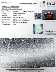 5.17 Ratti Natural Govt. Lab Certified Ceylonese Gomed-(1221)