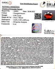 4.96/CT Natural Govt. Lab Certified Ceylonese Gomed-1221