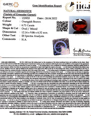 6.71/CT Natural Govt. Lab Certified Ceylonese Gomed-1221