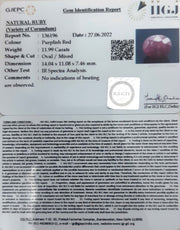 11.99/CT Natural Indian Ruby with Govt. Lab Certificate-2331