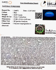 12.06 Carat Turquoise-(832)