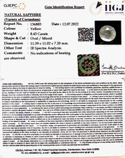 8.43/CT Natural Ceylonese Pukhraj with Govt Lab Certificate-(8991)