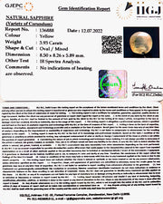 3.93/CT Natural Ceylonese Pukhraj with Govt Lab Certificate-4551