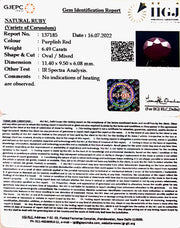 6.49/CT Natural Mozambique Ruby with Govt. Lab Certificate-7881