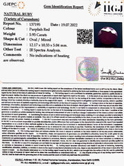 5.95/CT Natural Mozambique Ruby with Govt. Lab Certificate-7881