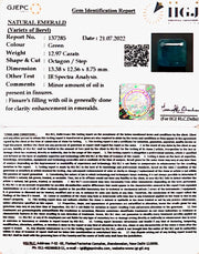 12.97/CT Natural Panna Stone with Govt. Lab Certified-6771