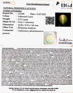 Load image into Gallery viewer, 5.73/CT Natural Prehnite cats eye with Govt. Lab certified-(1221)
