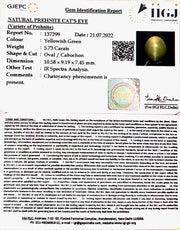 5.73/CT Natural Prehnite cats eye with Govt. Lab certified-(1221)