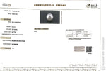 Load image into Gallery viewer, 6.95/CT Natural South Sea Pearl Beads With Lab Certificate (1550)
