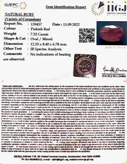 7.33/CT Natural Mozambique Ruby with Govt. Lab Certificate-(RUBY9U)