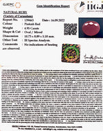 Load image into Gallery viewer, 4.95/CT Natural Mozambique Ruby with Govt. Lab Certificate-(RUBY9U)
