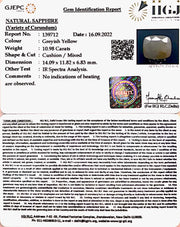 10.98 Carat Natural Ceylonese Pukhraj with Govt Lab Certificate-4551