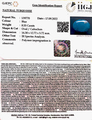 8.55 Carat Turquoise-(1221)