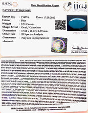 9.31 Carat Turquoise-(1221)