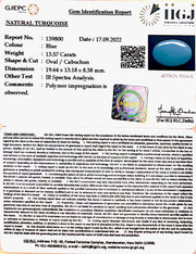 13.57 Carat Turquoise-(832)