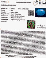 Load image into Gallery viewer, 50.65 Carat Turquoise-(1221)
