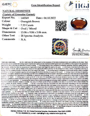 7.33/CT Natural Govt. Lab Certified Ceylonese Gomed-(1221)