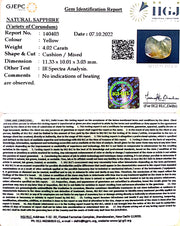 4.02/CT Natural Ceylonese Pukhraj with Govt Lab Certificate-(6771)