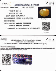 9.04/CT Natural Ceylonese Pukhraj Stone with Govt Lab Certificate-4551