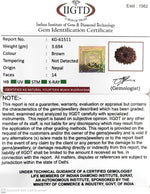 Load image into Gallery viewer, 3.690 Gram Natural 14 Mukhi Rudraksha with Govt. Lab Certificate-KG61511