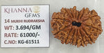 Load image into Gallery viewer, 3.690 Gram Natural 14 Mukhi Rudraksha with Govt. Lab Certificate-KG61511