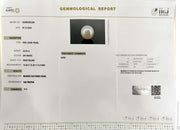 32.55/CT Natural South Sea Pearl With Lab Certificate (1550)